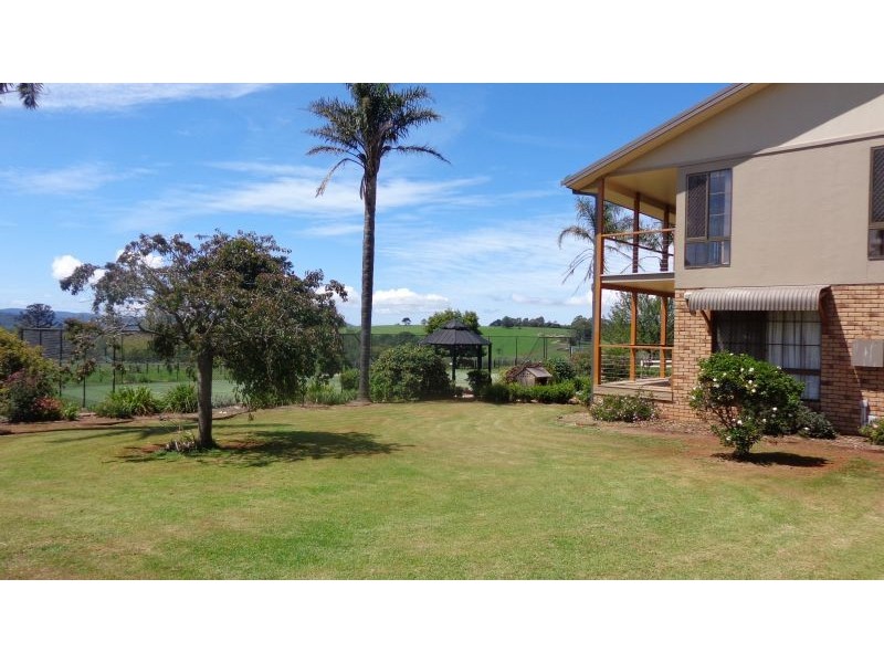 Dorrigo NSW 2453