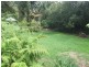 54 Old Pacific Highway, Raleigh NSW 2454