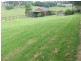 24 Kurrajong Street, Dorrigo NSW 2453