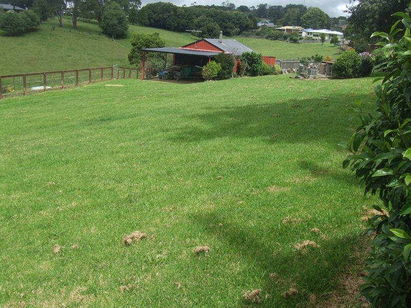 24 Kurrajong Street, Dorrigo NSW 2453
