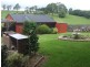 24 Kurrajong Street, Dorrigo NSW 2453