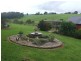 24 Kurrajong Street, Dorrigo NSW 2453