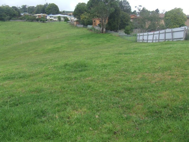 24 Kurrajong Street, Dorrigo NSW 2453