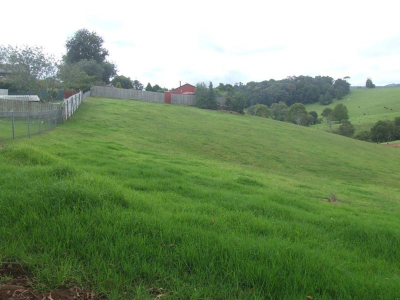 24 Kurrajong Street, Dorrigo NSW 2453
