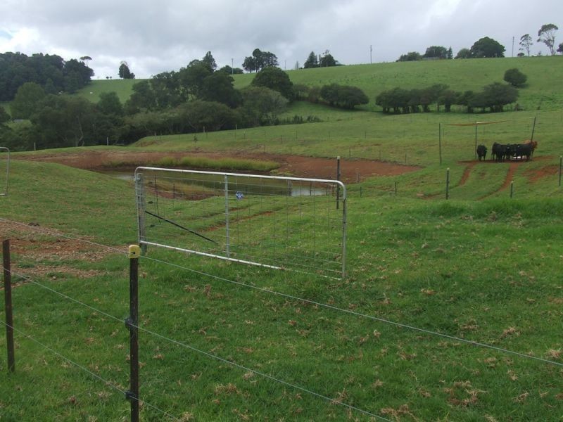 24 Kurrajong Street, Dorrigo NSW 2453