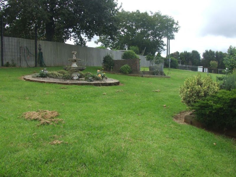 24 Kurrajong Street, Dorrigo NSW 2453