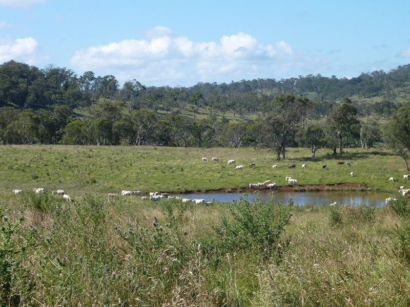 Ebor NSW 2453