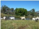 Ebor NSW 2453