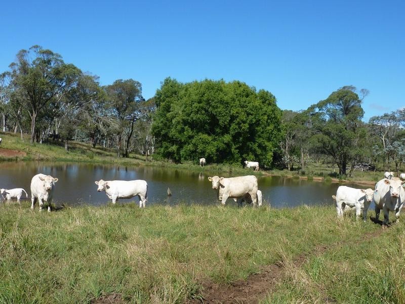 Ebor NSW 2453