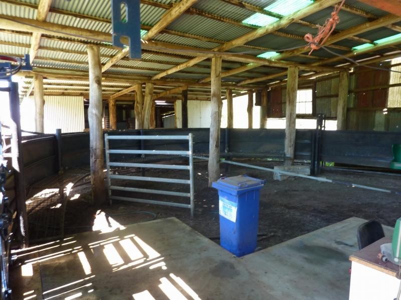 Ebor NSW 2453