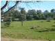 Ebor NSW 2453