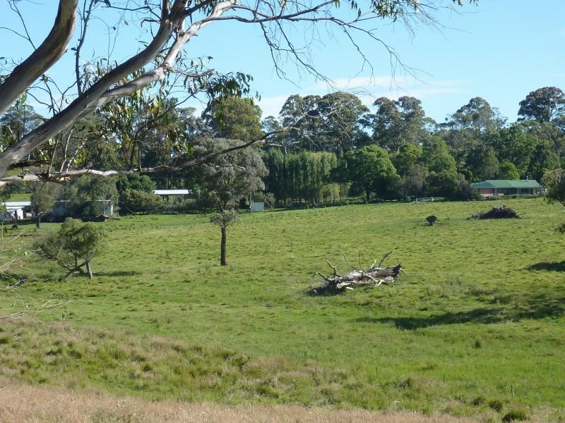 Ebor NSW 2453
