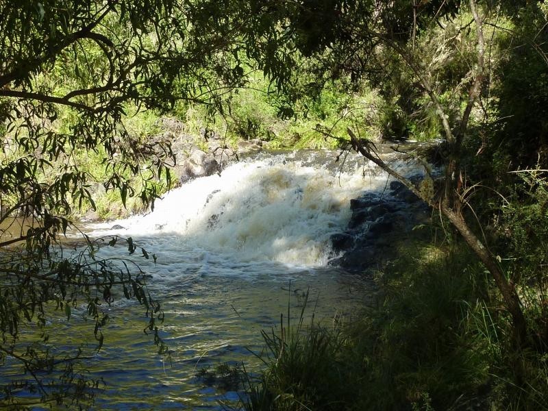 Ebor NSW 2453