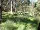 Ebor NSW 2453