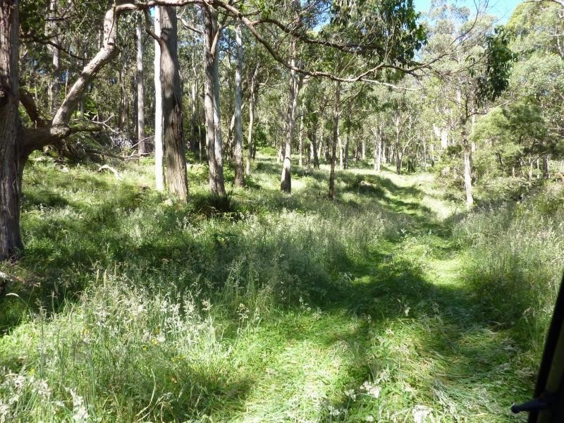 Ebor NSW 2453