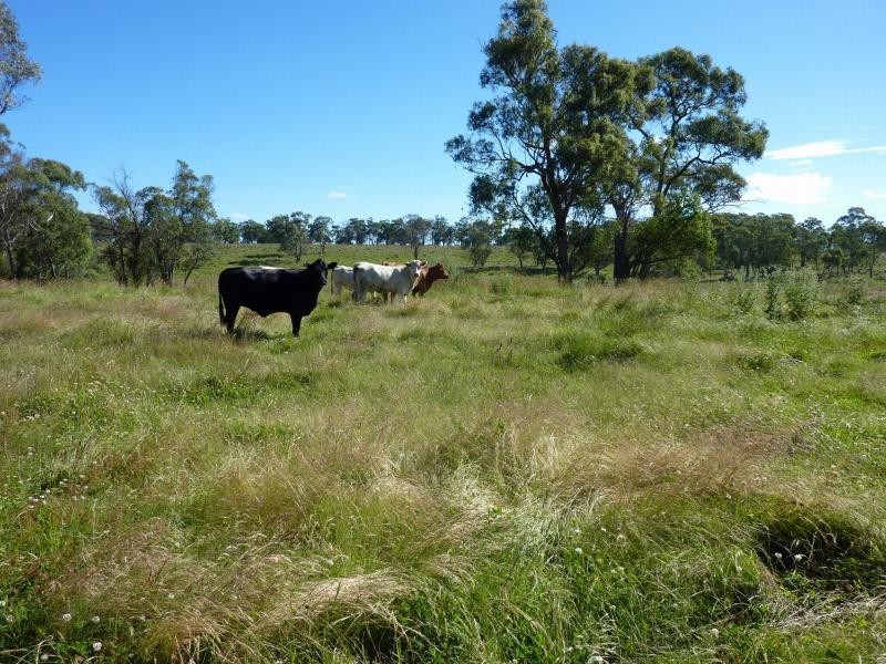 Ebor NSW 2453