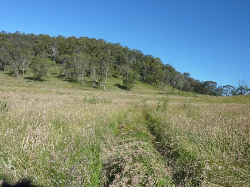 Ebor NSW 2453