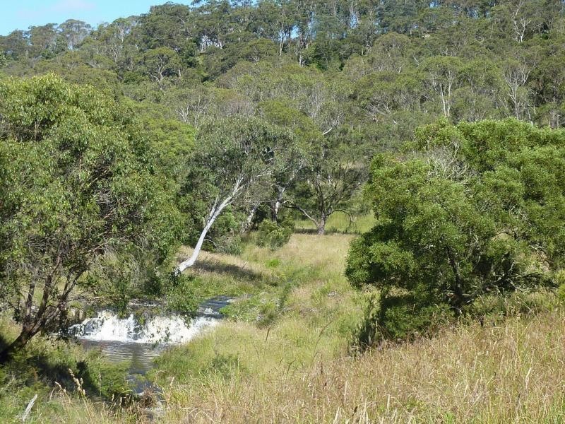 Ebor NSW 2453