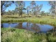 Ebor NSW 2453