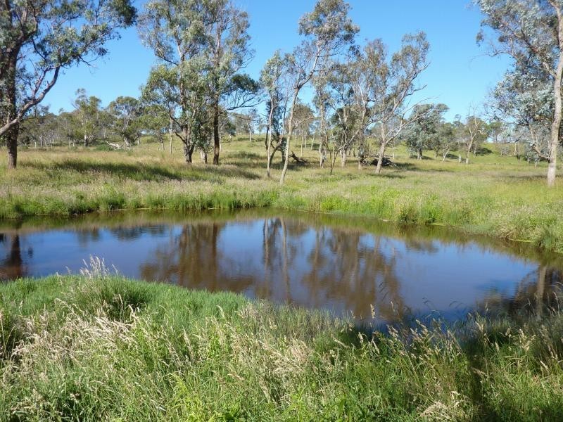 Ebor NSW 2453