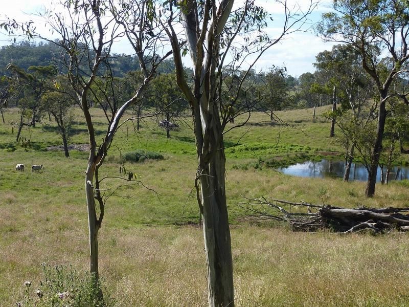 Ebor NSW 2453