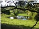 Ebor NSW 2453