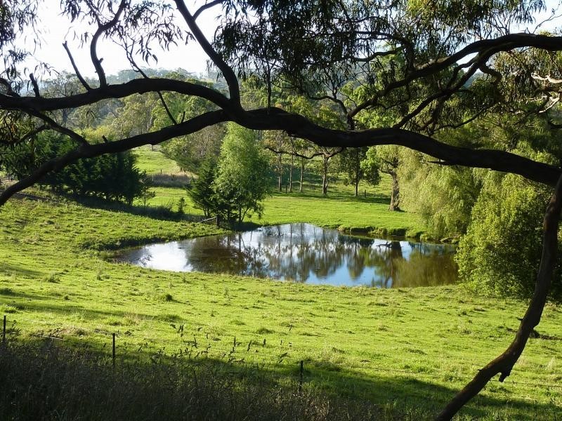 Ebor NSW 2453