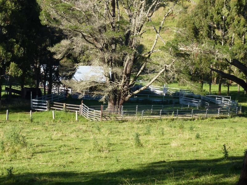 Ebor NSW 2453