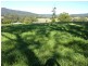 Coramba NSW 2450