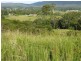 Coramba NSW 2450