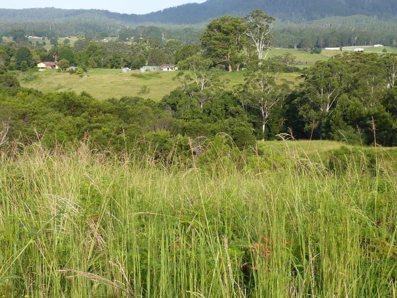 Coramba NSW 2450