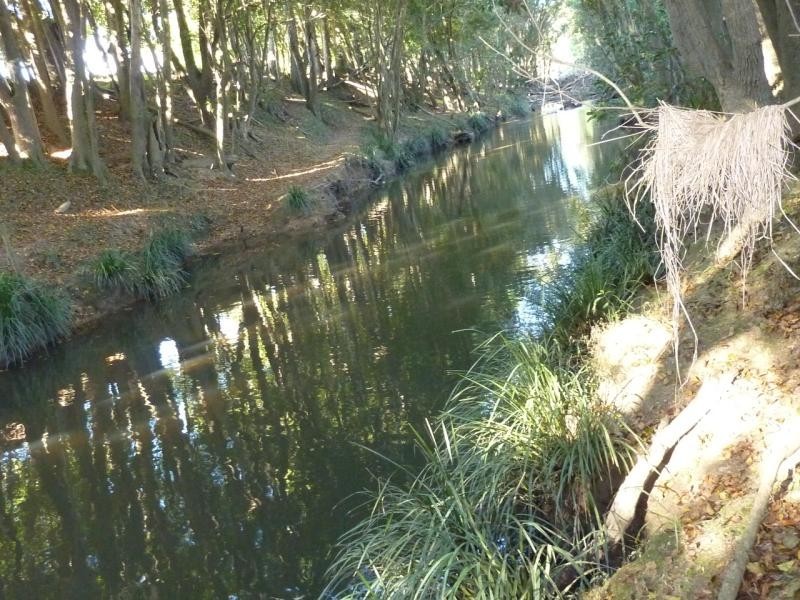 Coffs Harbour NSW 2450