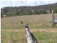 Nymboida NSW 2460