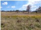 Nymboida NSW 2460