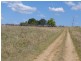 Nymboida NSW 2460