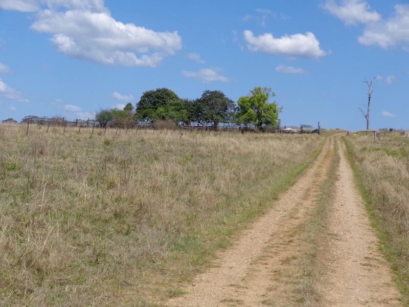 Nymboida NSW 2460
