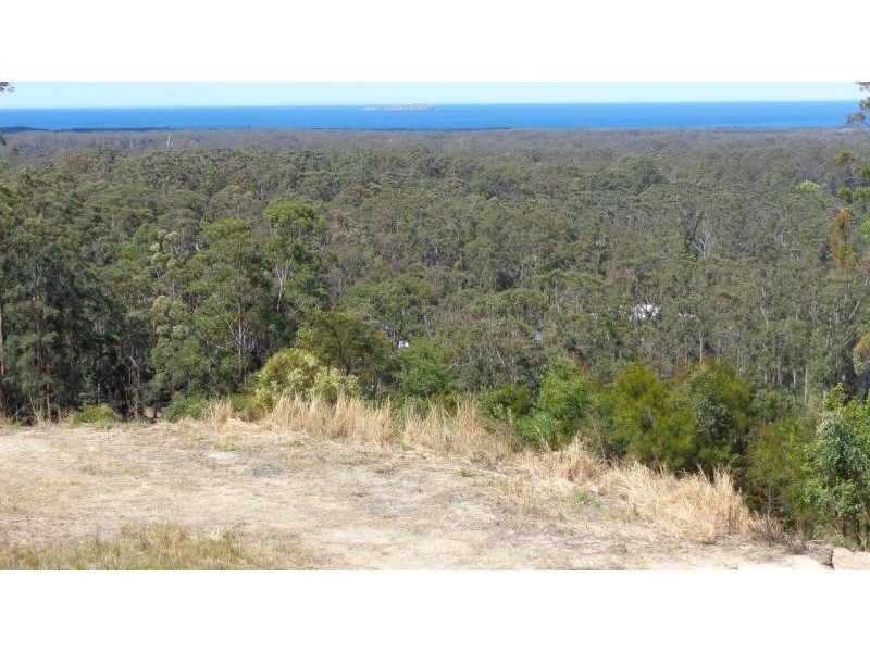 Moonee Beach NSW 2450