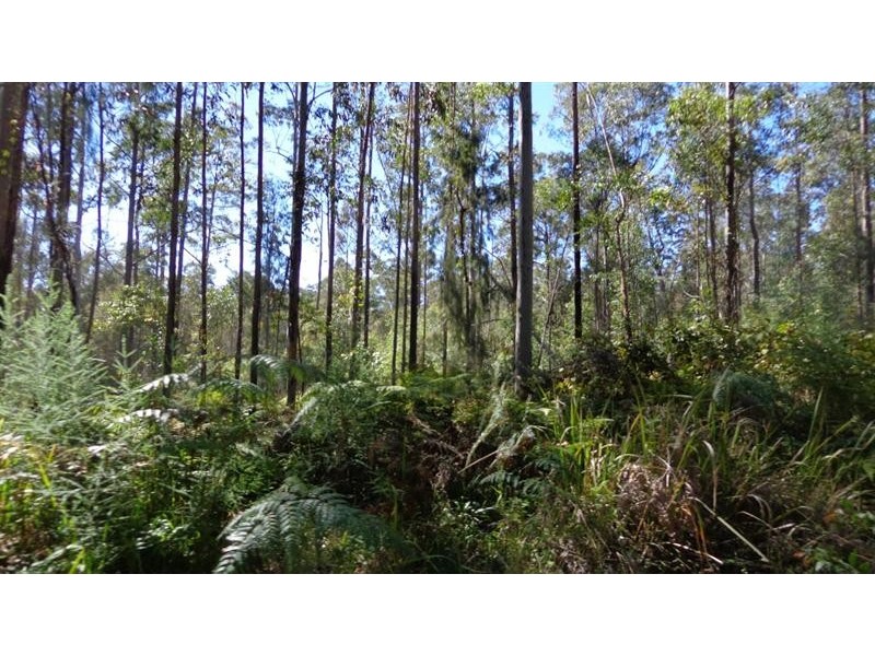 Dundurrabin NSW 2453