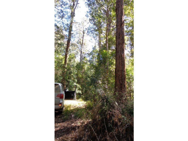 Dundurrabin NSW 2453