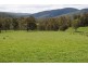 Dorrigo NSW 2453