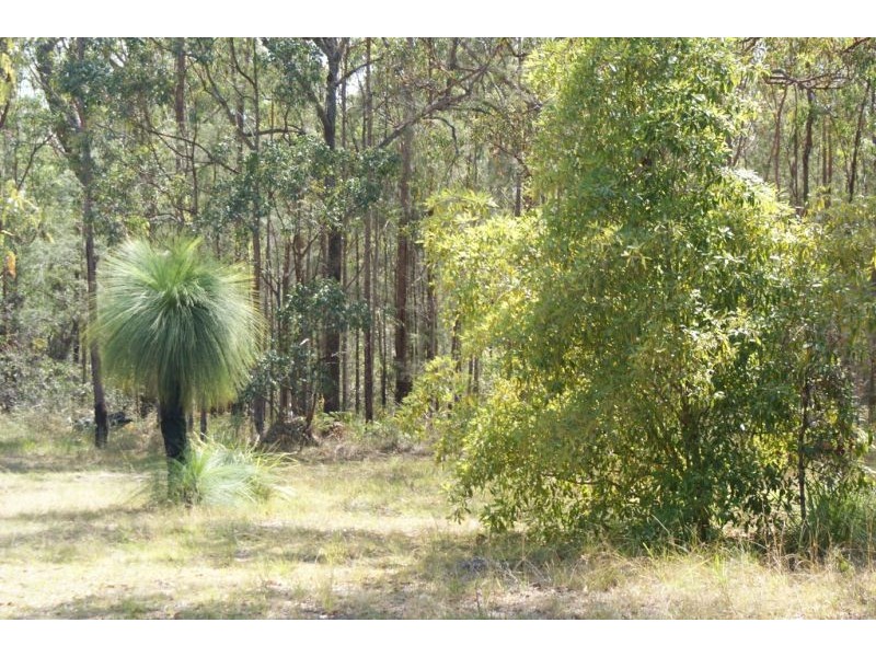 Wells Crossing NSW 2460