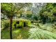 Bellingen NSW 2454
