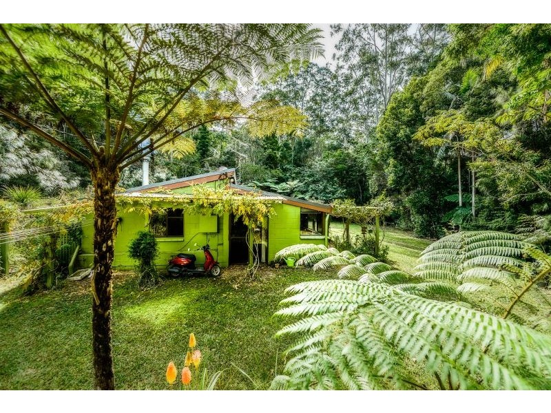 Bellingen NSW 2454