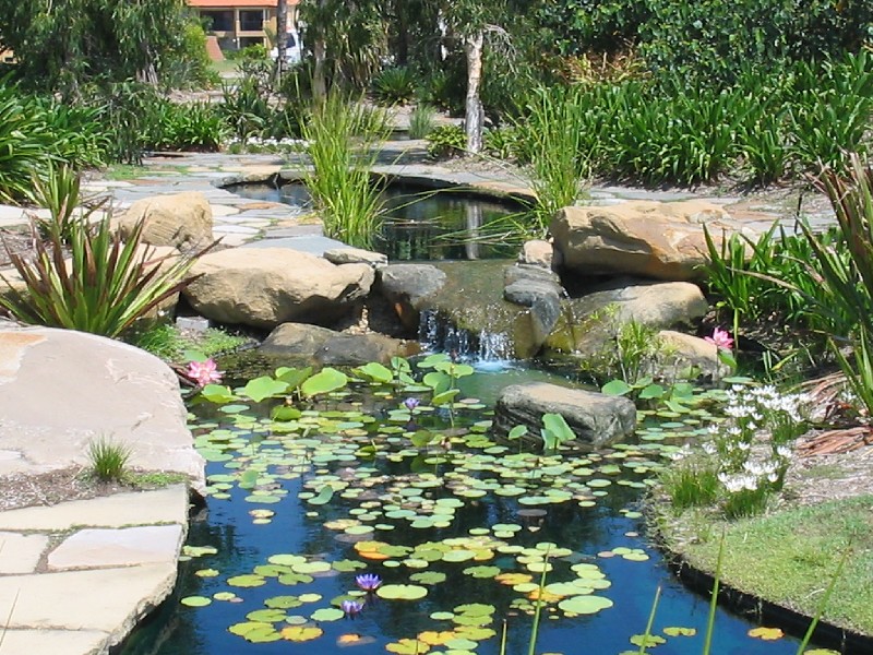 Paradise Point QLD 4216