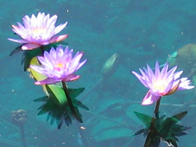 Paradise Point QLD 4216