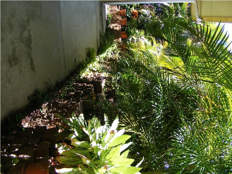 Paradise Point QLD 4216