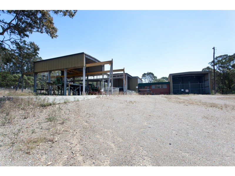 202 – Lots 1 & Bushland Drive, Taree NSW 2430