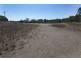 202 – Lots 1 & Bushland Drive, Taree NSW 2430