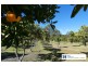 19 Iluka Circuit, Taree NSW 2430