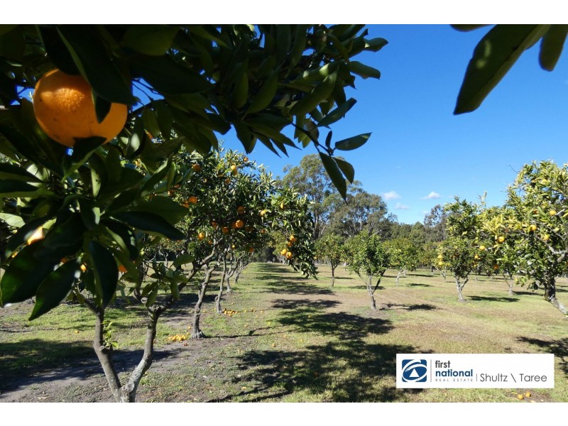 19 Iluka Circuit, Taree NSW 2430